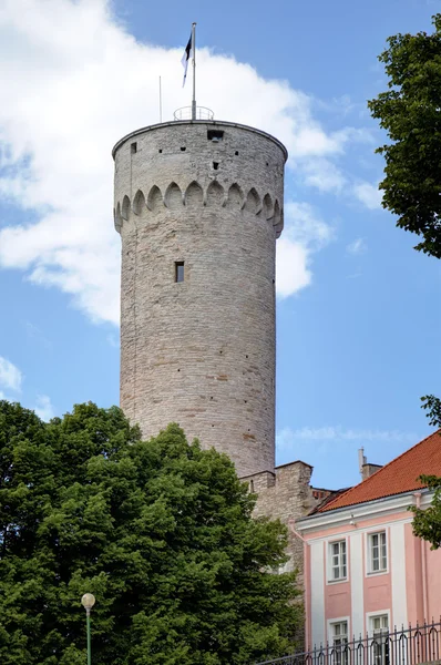 Pikk Hermann tower. Tallinn, Estonia — Stock Photo, Image