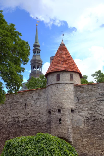 Torens en muren van de oude stad. Tallinn, Estland — Stockfoto