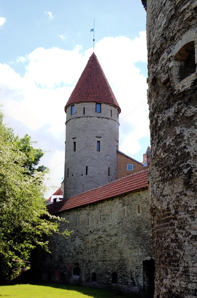 Kule ve eski şehrinin duvarlarının. Tallinn, Estonya — Stok fotoğraf