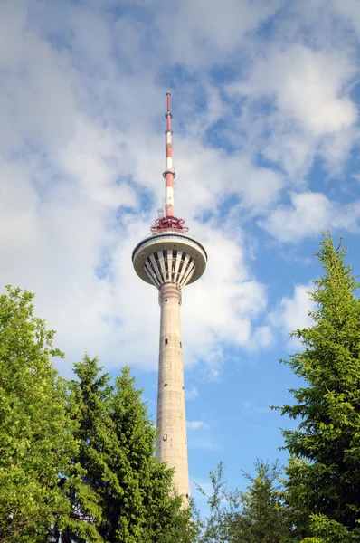 Wieża telewizyjna. Tallinn, estonia — Zdjęcie stockowe