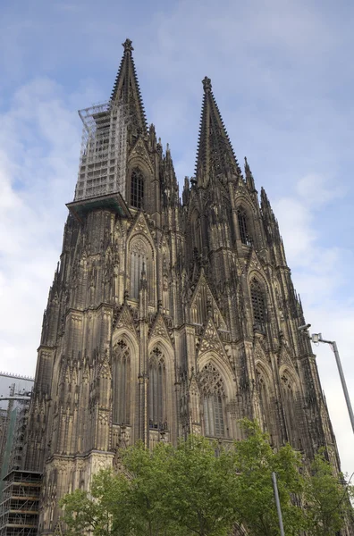 Cattedrale di Colonia, Germania — Foto Stock