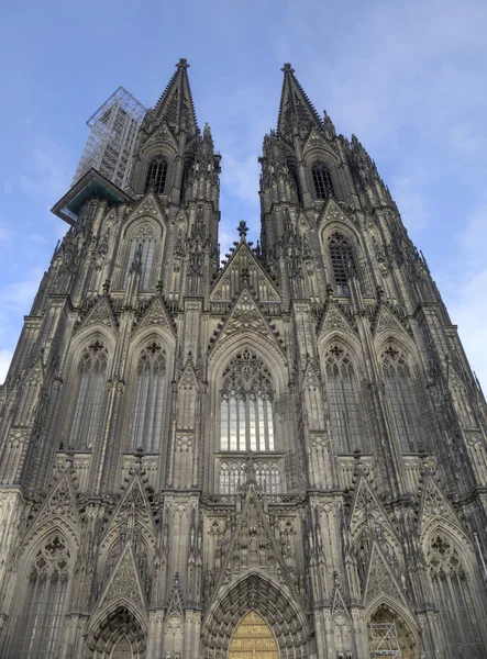 Kölner Dom — Stockfoto