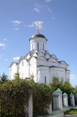 knyaginin Manastırı. Vladimir, Rusya'nın altın yüzük.