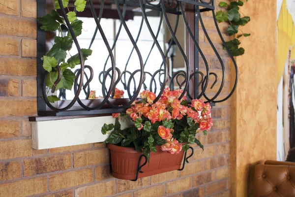 Bunte Fenster mit Blumen auf der Fensterbank — Stockfoto