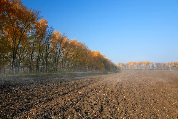 Otoño paisaje rural con campo arado en la niebla de la mañana — Foto de Stock