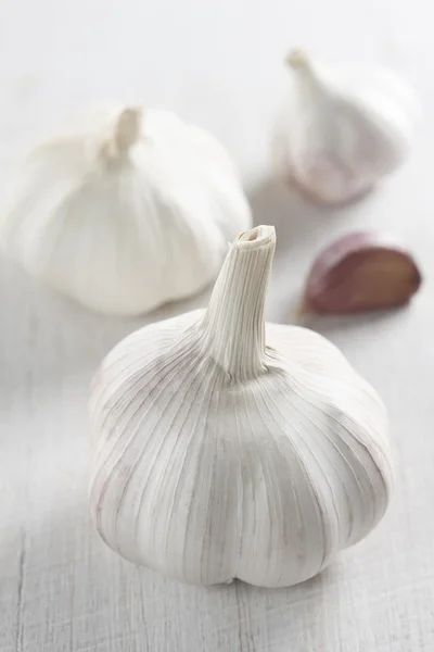 Garlic — Stock Photo, Image