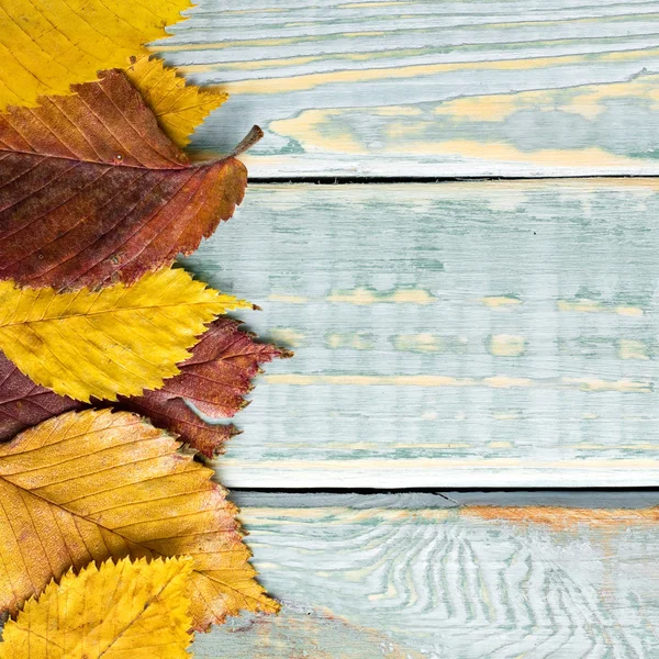 Hojas de otoño sobre madera vintage en mal estado —  Fotos de Stock