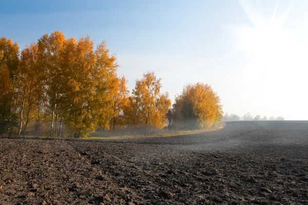 Autumn morning rural scenery — Stock Photo, Image