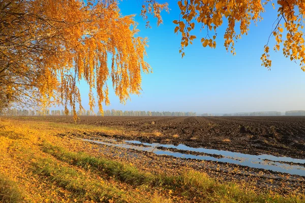 Paisaje rural otoñal — Foto de Stock