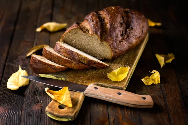 Pan de oveja — Foto de Stock