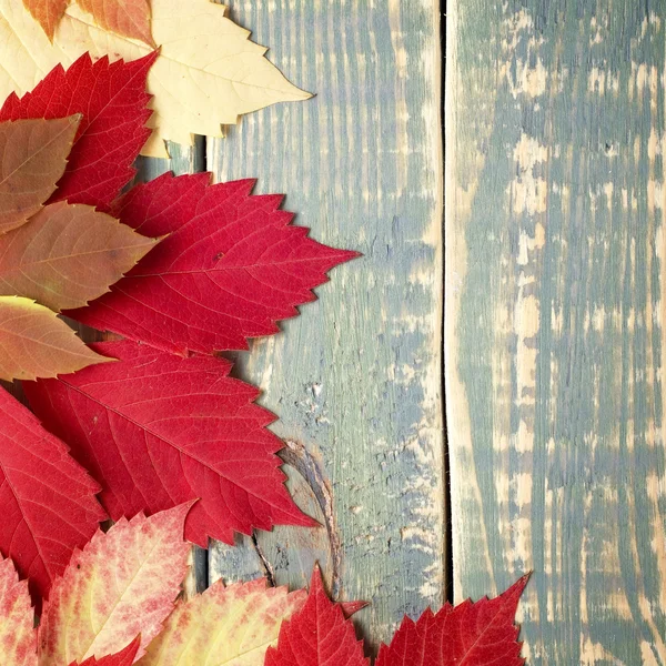 Hojas de otoño sobre madera vintage en mal estado —  Fotos de Stock