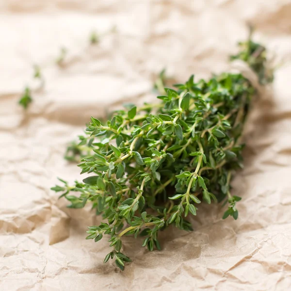 Thym herbe — Photo