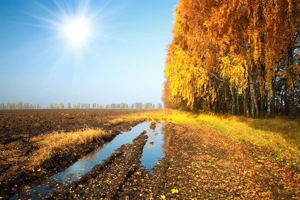 Route de campagne et champ labouré en automne — Photo