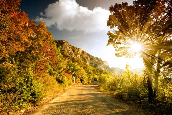 Estrada da montanha ao pôr do sol — Fotografia de Stock