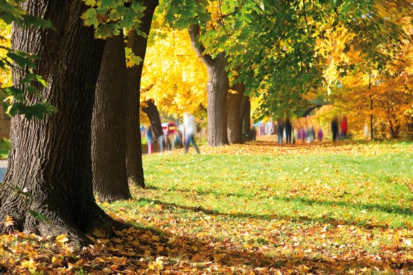 Parque de otoño — Foto de Stock