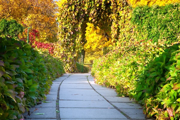 Herfst park steegje met poort — Stockfoto