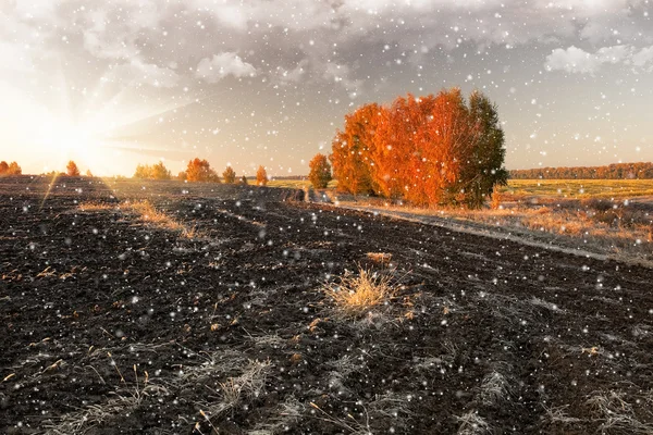Snöig landsbygd — Stockfoto