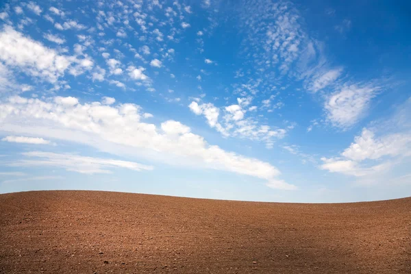 Campo folheado — Fotografia de Stock