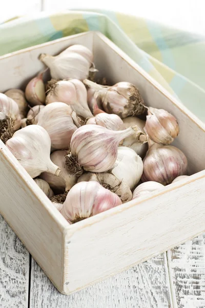 Knoblauch — Stockfoto