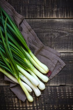 Spring onion clipart