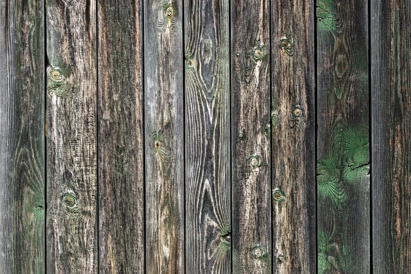 Grunge wood background — Stock Photo, Image