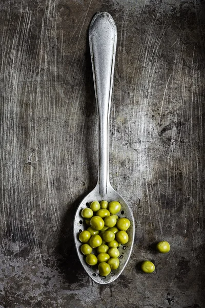 Canned peas — Stockfoto