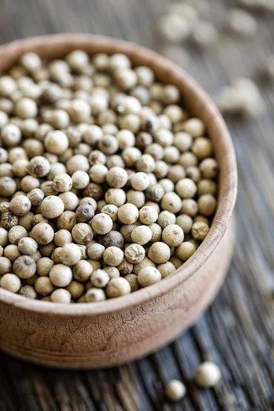 White peppercorn — Stock Photo, Image