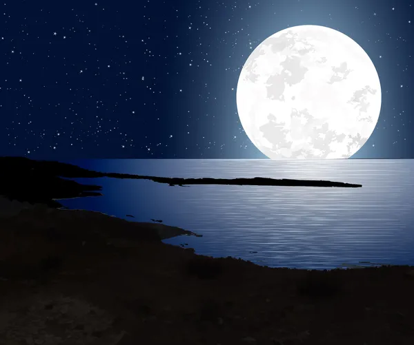 Luz de luna con luna llena y la costa — Archivo Imágenes Vectoriales