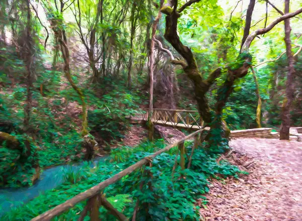 Vecchio Ponte Legno Sul Fiume Una Foresta Grecia Peloponneso Una — Foto Stock