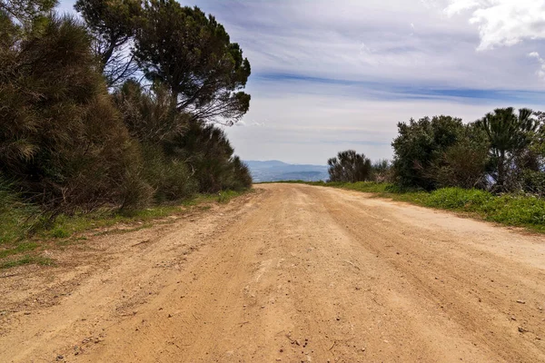 Landweg Bij Penteli Berg Bij Attica Griekenland — Stockfoto