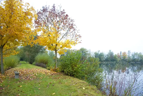 Podzim - jezero — Stock fotografie