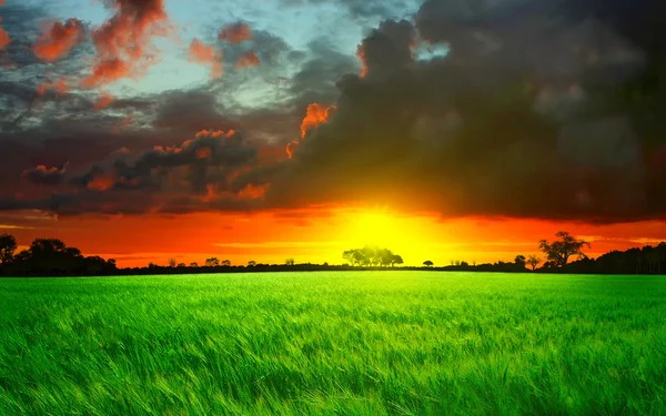 Beautiful sunset — Stock Photo, Image