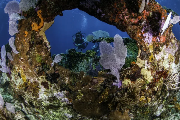 Coral cubrió Porthole de un barco hundido con un buzo en el medio en Key Largo, Florida — Foto de Stock