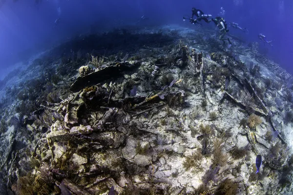 washington şehir batık balıkgözü görünümü