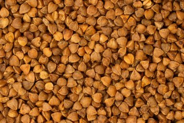 Taze karabuğday yetiştirenlerin yakın plan görüntüleri. Sağlıklı beslenme. Doku.