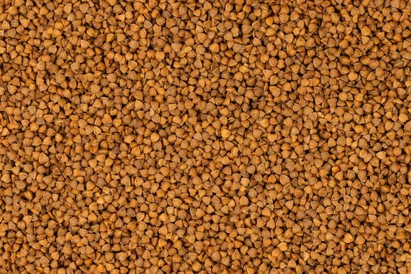 Background Fresh Buckwheat Healthy Eating Texture — Stock Photo, Image