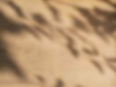 Kum rengi arka planda yaprağın gölgesi. Soyut nötr doğa kavramı. 