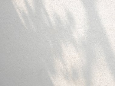 Beton duvardaki yaprakların soyut gölgesi, fotoğraf, taklit, ürün, duvar sanatı, tasarım sunumu için üstüste efekt