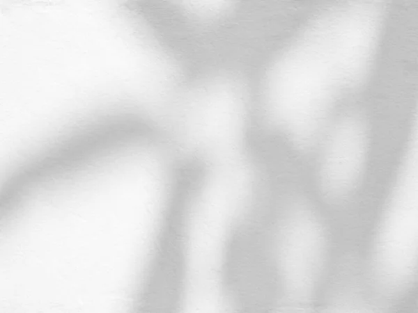 Αφηρημένη Σκιά Φύλλων Φόντο Τσιμέντου Τοίχου — Φωτογραφία Αρχείου