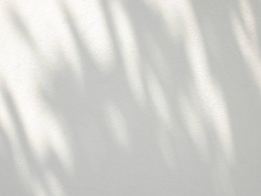 Yaprak gölgesi ve güneş ışığı beyaz beton duvar arka planına lekelenmiş..