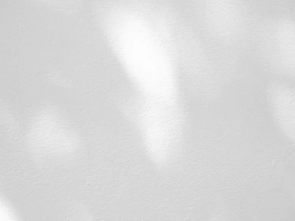 Árboles Rama Y Hoja Con Sombra Sobre Una Pared De Hormigón Blanco Patrón De  Hoja Fondo Borroso Foto de stock y más banco de imágenes de Sombra  iStock