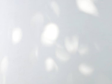 Yaprak gölgesi ve güneş ışığı beyaz duvar arkaplanına lekelenmiş.