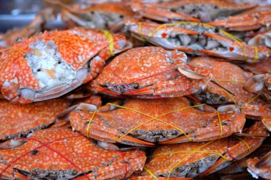 Heap of steamed blue crabs, fresh seafood