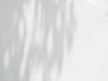 Leaf shadow and light from sunlight dappled on white cement wall background, overlay effect for photo, mock up, product, wall art, design presentation