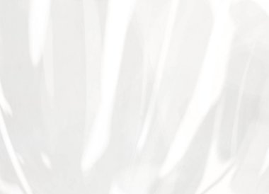 Beyaz duvarda doğal yaprak gölgesi, fotoğraf, taklit, ürün, duvar sanatı, tasarım sunumu için kaplama efekti