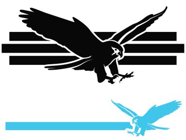 swooping Şahin
