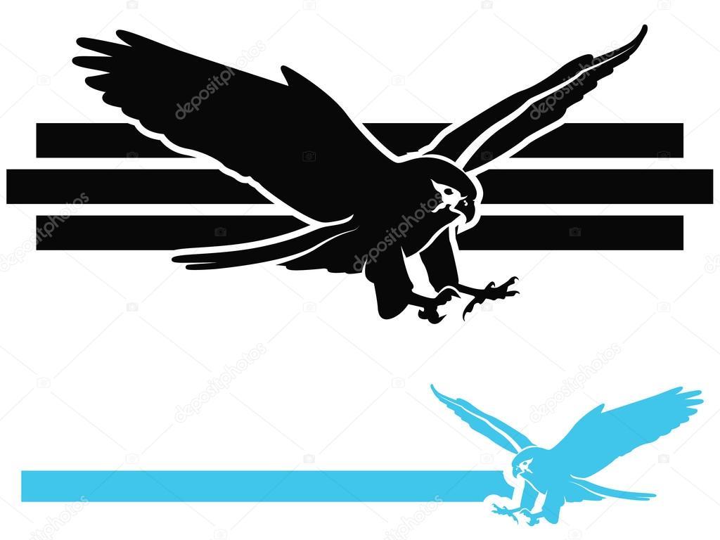 Birds of Prey Illustration