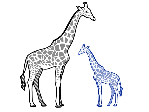 Girafe — Image vectorielle