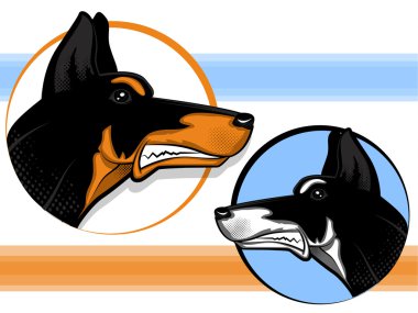 Doberman bekçi köpeği