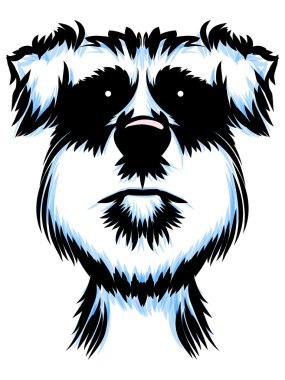 Terrier köpek portre